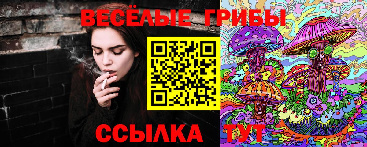 Псилоцибиновые грибы Cubensis Псков