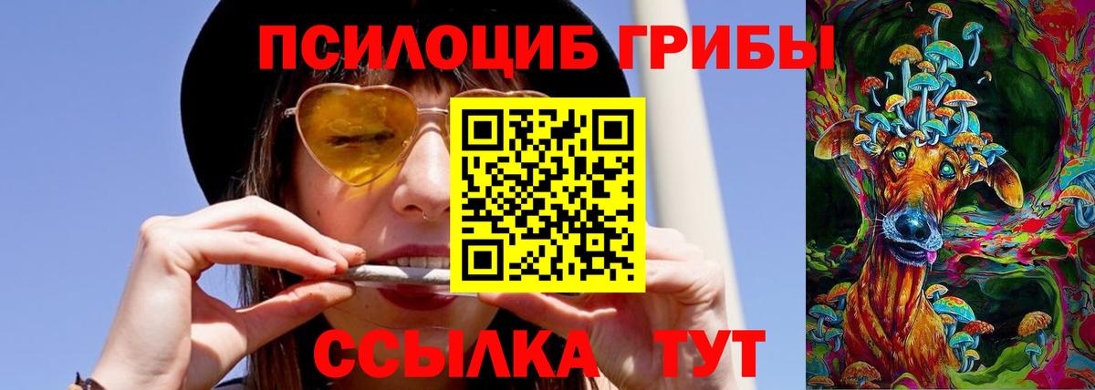 Псилоцибиновые грибы Psilocybine cubensis  Вход с VPN  Псков 